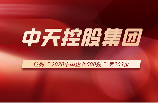 AG贵宾会集团列2020中国企业500强第203位！
